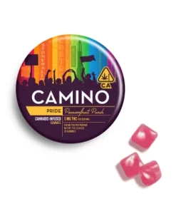 Camino Gummies