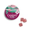 Camino Sours 10mg Watermelon
